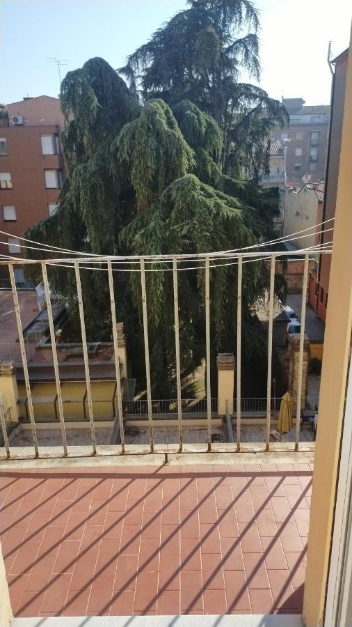 B & B Via Borgo Di San Pietro Bologna Ngoại thất bức ảnh